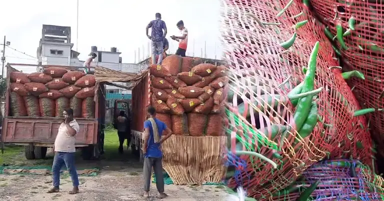 কাঁচামরিচ আমদানি
